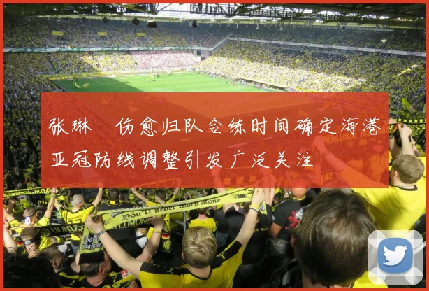 张琳芃伤愈归队合练时间确定海港亚冠防线调整引发广泛关注