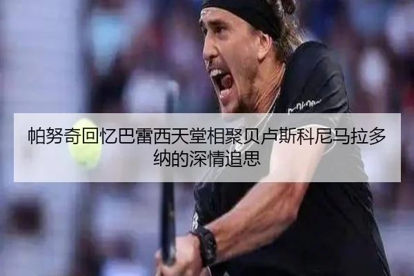 帕努奇回忆巴雷西天堂相聚贝卢斯科尼马拉多纳的深情追思
